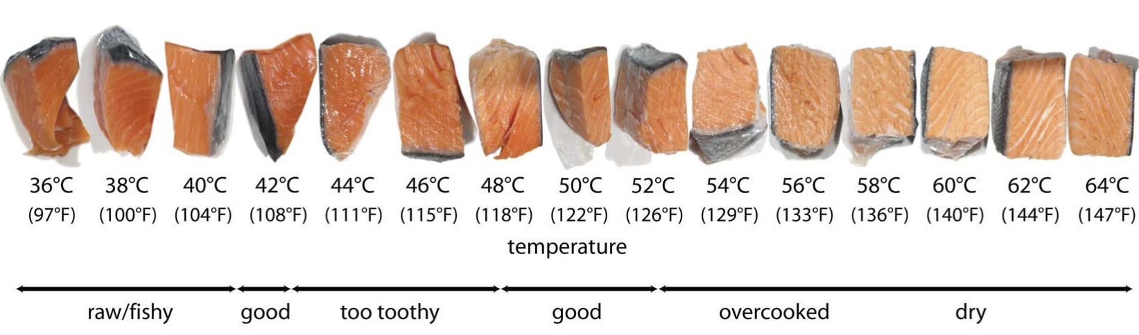 Sous Vide - Fish